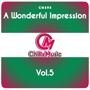 A Wonderful Impression, Vol. 5