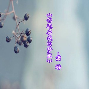 你还在我的梦里