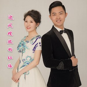 迎风绽放的红梅