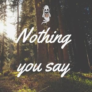 nothing you say (Explicit)