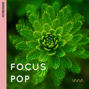 Focus Pop