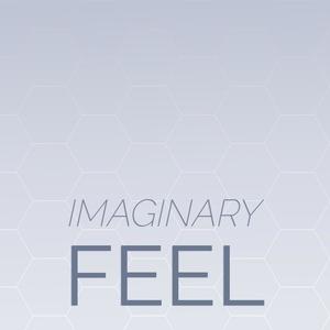 Imaginary Feel