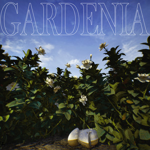 Gardenia