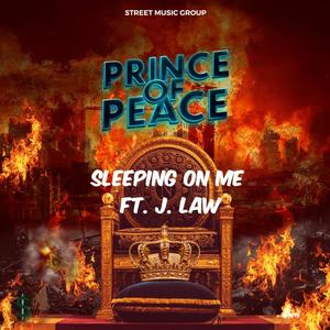 Vish - Sleeping On Me