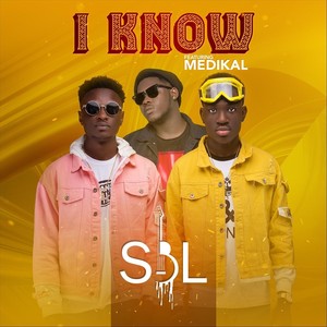 I Know(feat. Medikal)