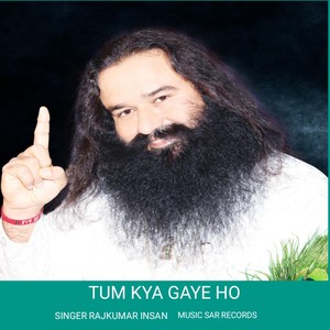 Tum Kya Gaye