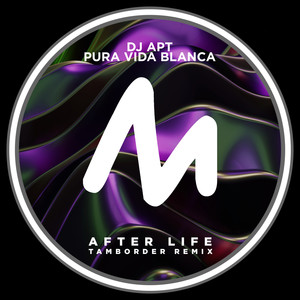 After Life (Tamborder Radio Remix)