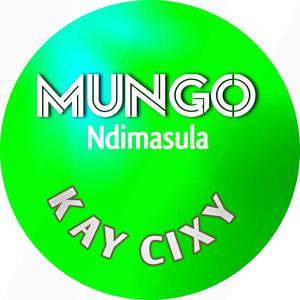 Mungo Ndimasula