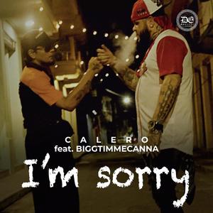 I'm Sorry (feat. Biggtimmecanna) [Explicit]