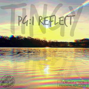 Pg :1 Reflect (Explicit)