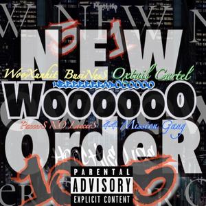 New Woo Order vol 1 (Lost Files) MG