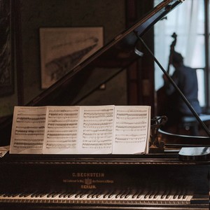 Robert Schumann from