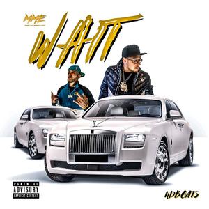 Wait (Explicit)