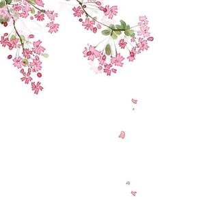 一帘风月闲 (翻自 河图)