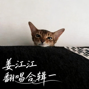 姜江江 - 一千零一夜 (R&B男声版)