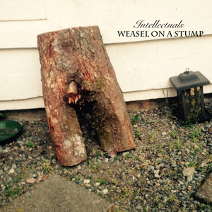 Weasel on a Stump (Explicit)