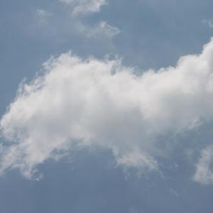 Big Bands(feat. Lady Low) (Explicit)