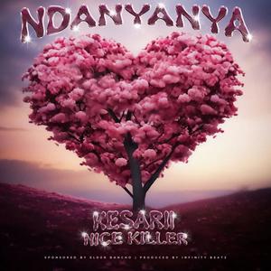 NDANYANYA (feat. Nice Killer)