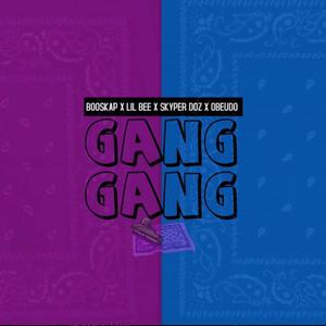 GANGANG (Remix) (feat. Lil Bee, Obeudo & Skyper Doz) [Explicit]