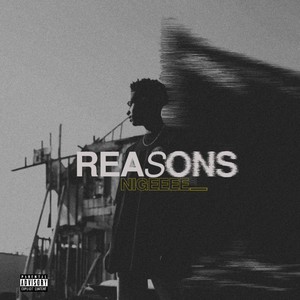 Reasons (Explicit)