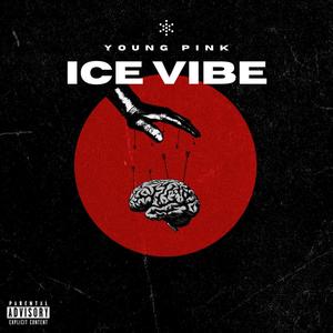 Ice Vibe (Explicit)