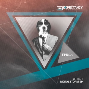 Digital Storm (Original Mix)