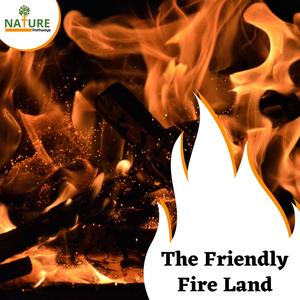 The Friendly Fire Land