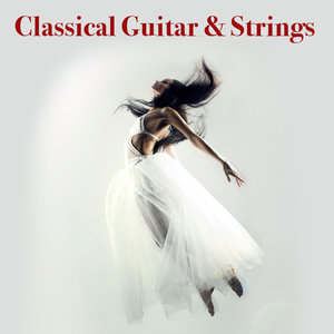 Classical Guitar & Strings