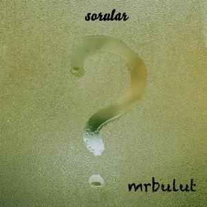 Sorular