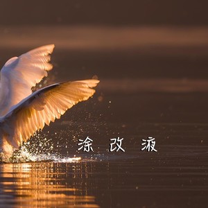涂改液