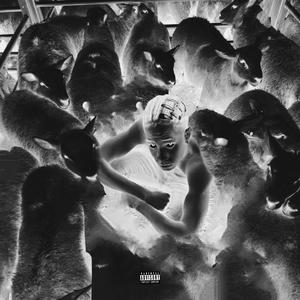 BLACK SHEEP (Explicit)