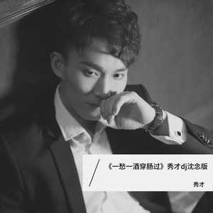 一愁一酒穿肠过 (DJ沈念版)