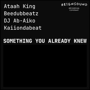 Something You Already Knew (Second Mix Radio Edit)