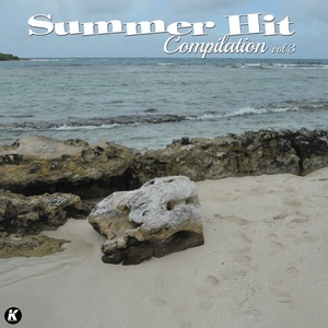 Summer Hit Compilation, Vol. 3 (Explicit)