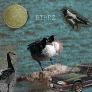 BIRDZ II