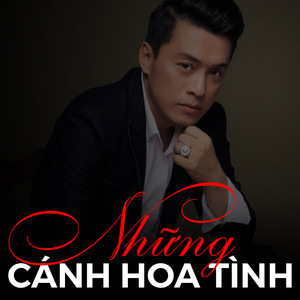 Những cánh hoa tình