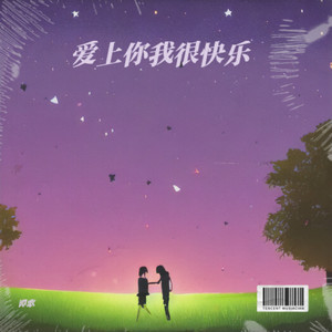 爱上你我很快乐 - 谭歌封面