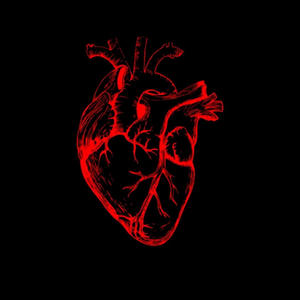 I Love You (Explicit)