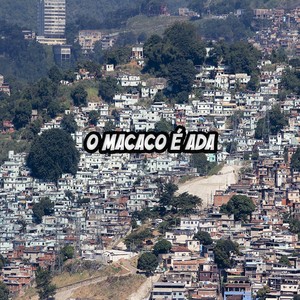 O Macaco é ADA (Explicit)