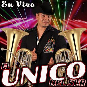 El Unico Del Sur (En Vivo)