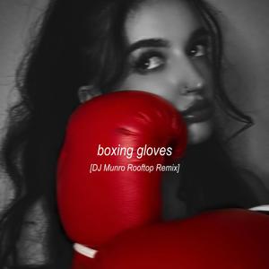 boxing gloves (DJ Munro Rooftop Remix)