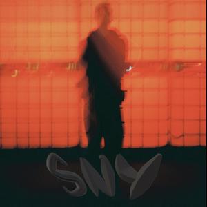 Sny (feat. Aninn) [Explicit]