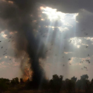 Dog In Me (Explicit)