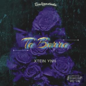 TE BORRE (feat. RealezaStudio) [Explicit]