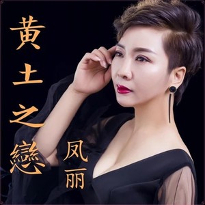 黄土之恋 (DJ默涵版)