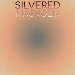 Silvered Magnolia