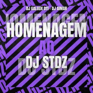 HOMENAGEM AO DJ STDZ (feat. DJ AIMAR) [Explicit]