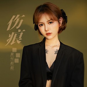 伤痕-莫叫姐姐