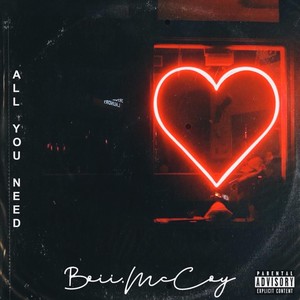 All You Need (Explicit)