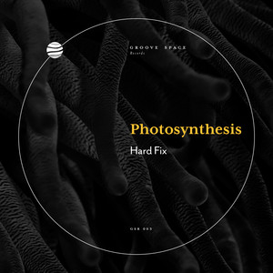 Photosynthesis